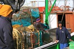 New! Fishermen in Ho